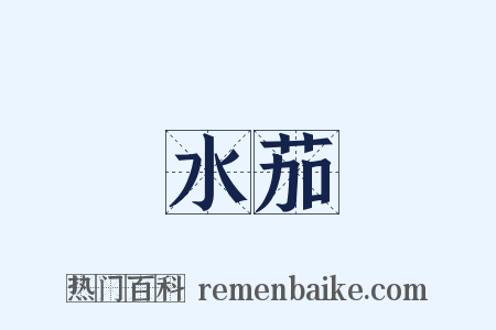 水茄是什么意思的图片